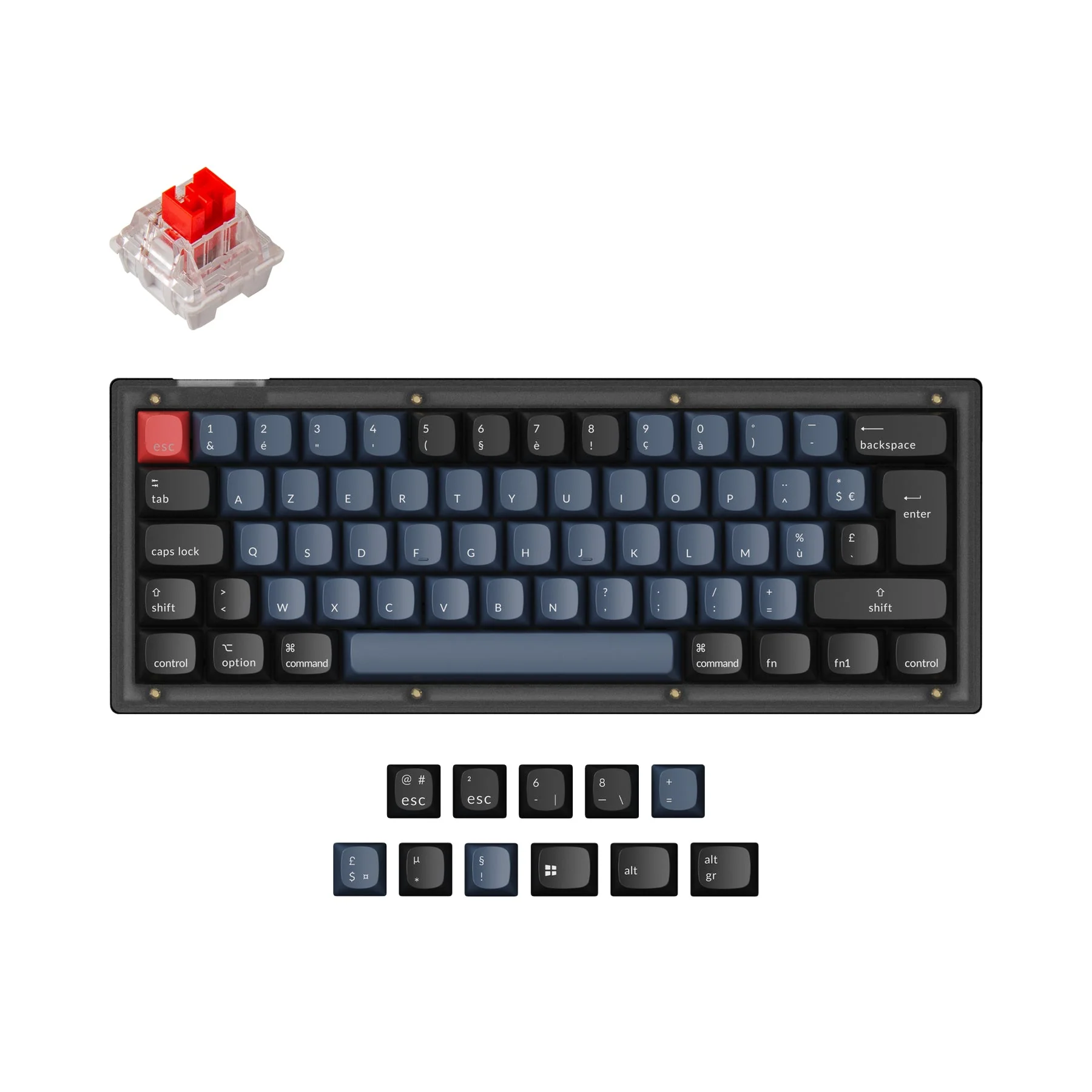 Thumbnail 1